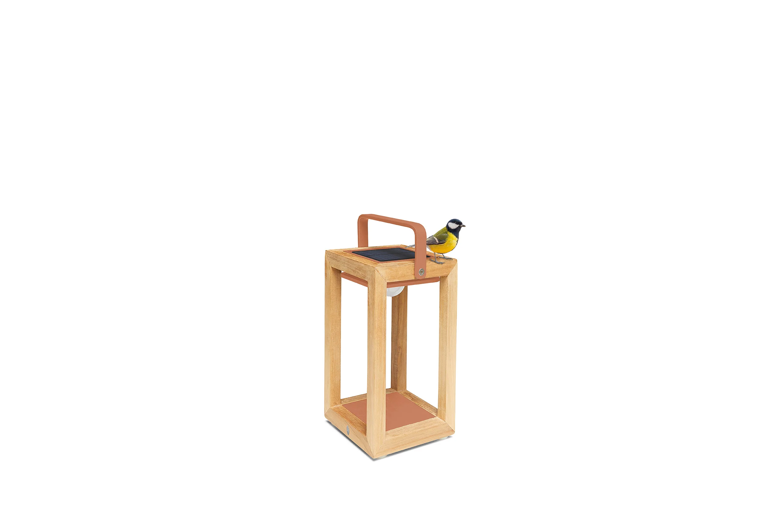 Tom Lantern - Image 6